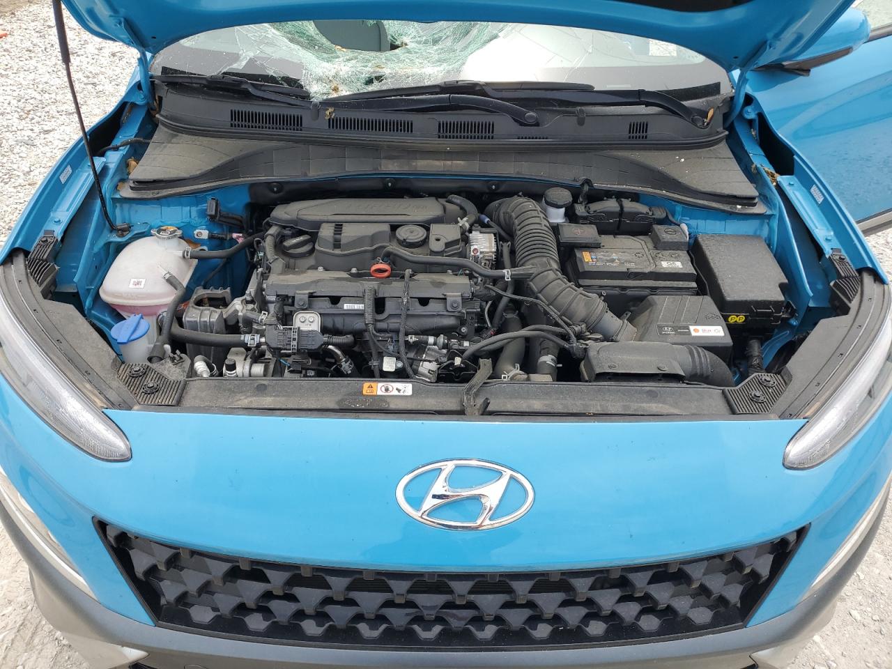 KM8K5CA39PU982629 2023 Hyundai Kona Limited