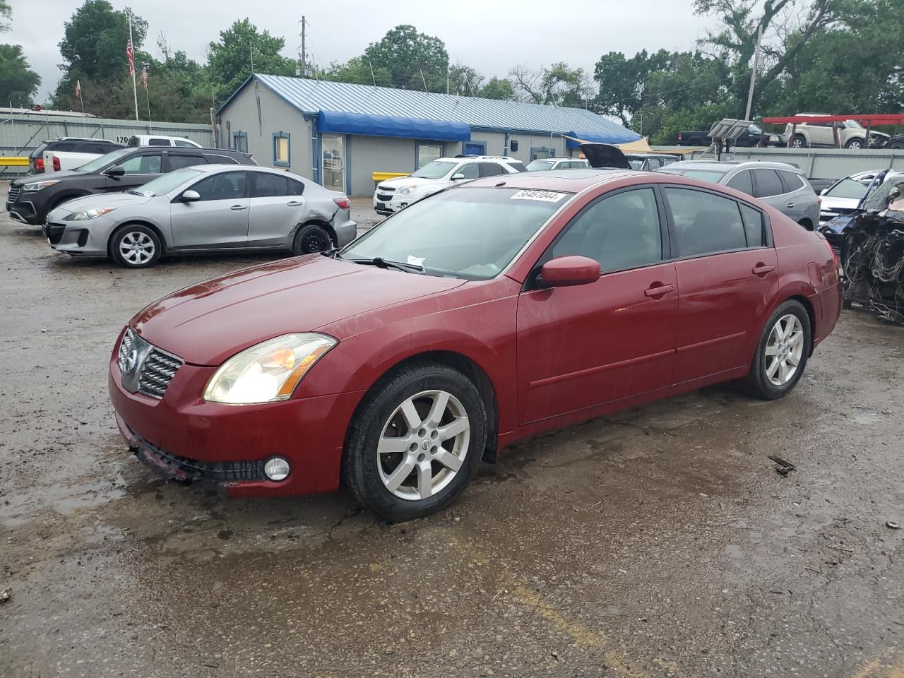 1N4BA41E56C820434 2006 Nissan Maxima Se