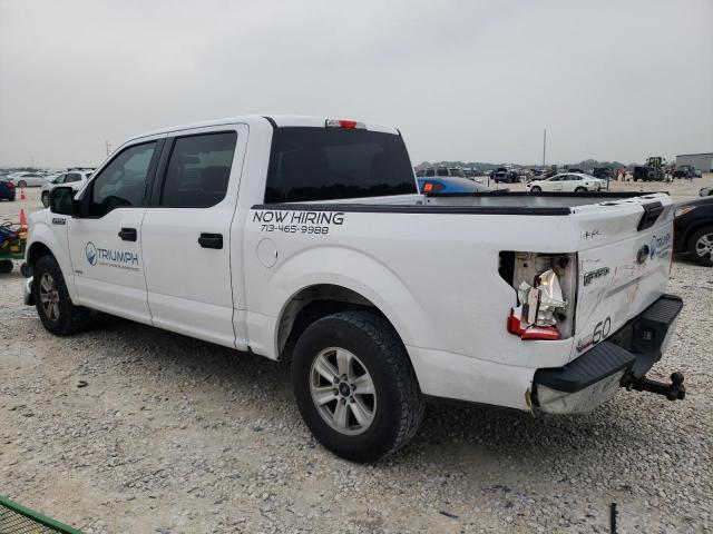 2015 Ford F150 Supercrew VIN: 1FTEW1CP2FKE47140 Lot: 53675024