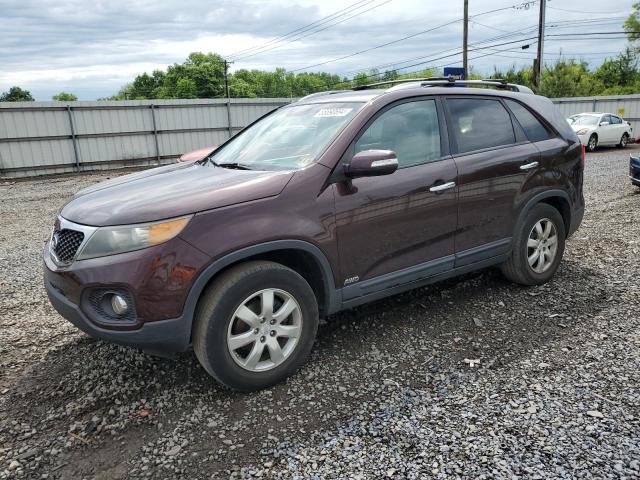 2011 Kia Sorento Base VIN: 5XYKTCA16BG187217 Lot: 55890694