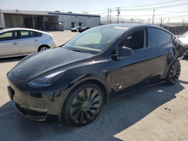 2023 Tesla Model Y VIN: 7SAYGDEF5PF755081 Lot: 54570484