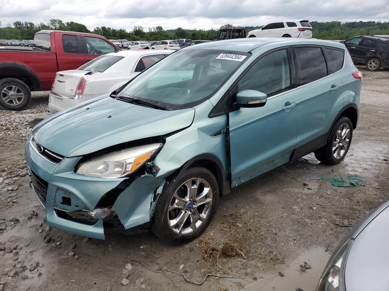 1FMCU0H93DUC09960 2013 Ford Escape Sel