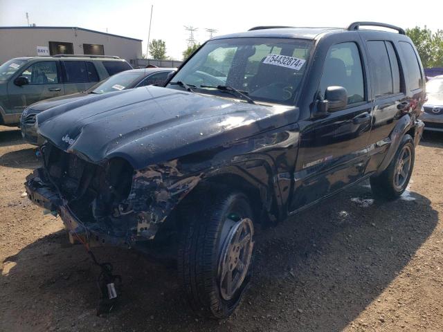 2003 Jeep Liberty Sport VIN: 1J4GL48K13W663785 Lot: 54432874