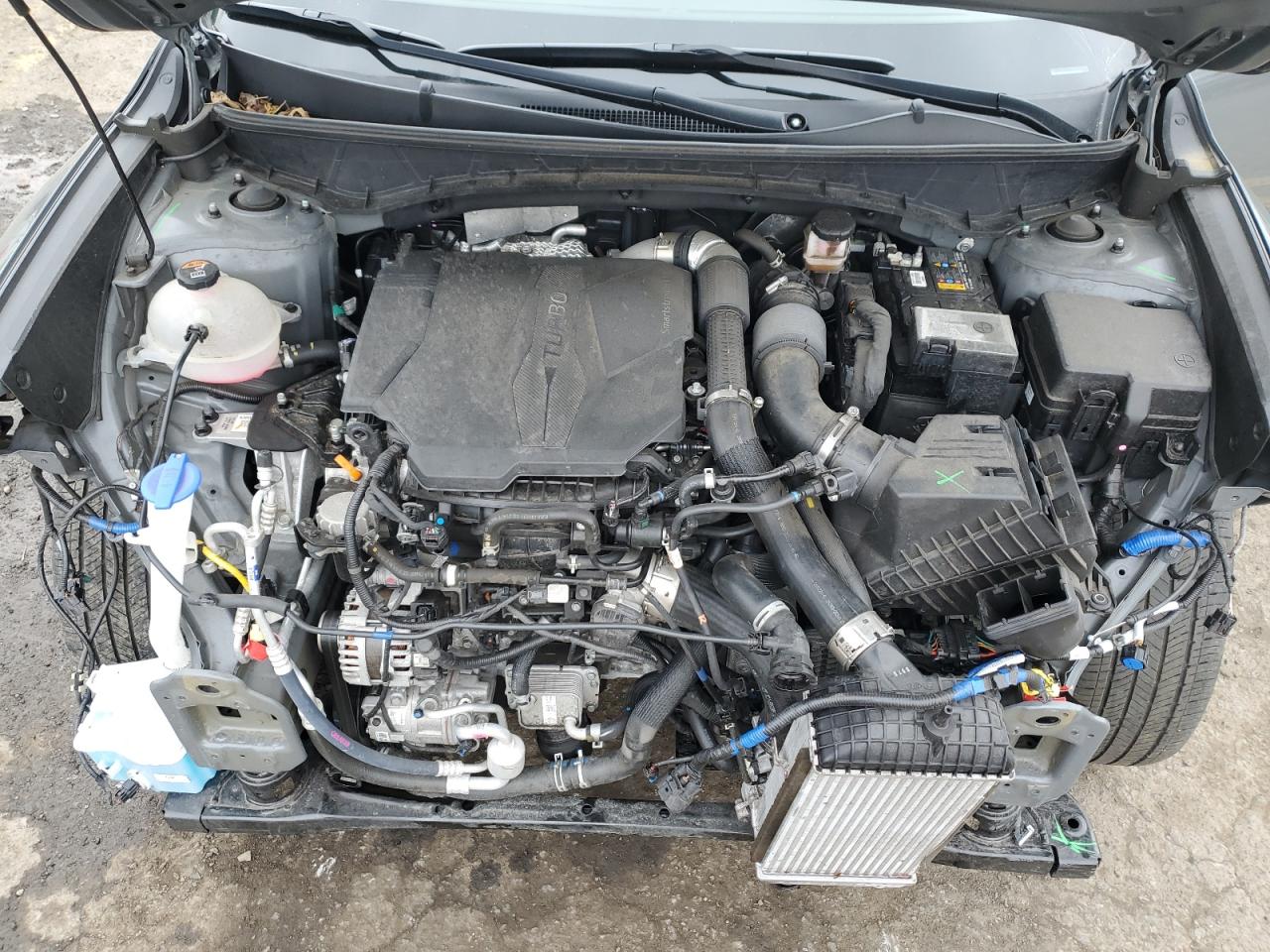 5NTJDDAF5NH006522 2022 Hyundai Santa Cruz Sel Premium