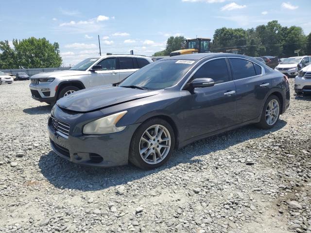 2010 NISSAN MAXIMA S 2010