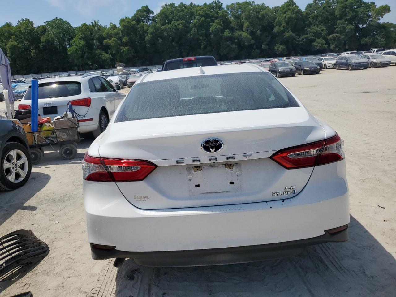 4T1C31AK4LU536663 2020 Toyota Camry Le