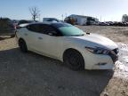 Lot #2957556433 2017 NISSAN MAXIMA 3.5