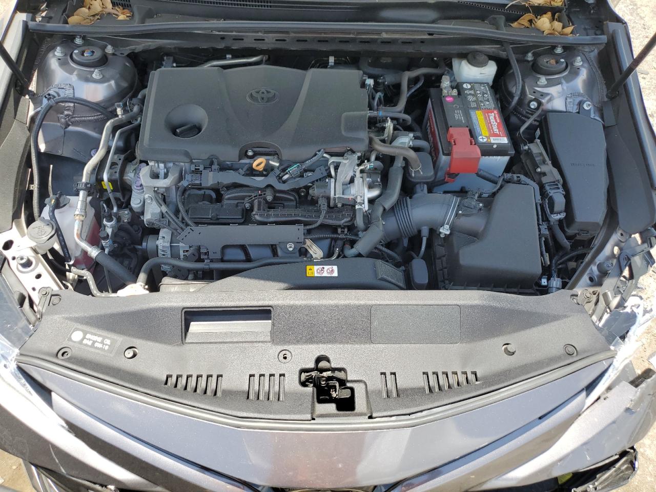 4T1B11HK3KU195407 2019 Toyota Camry L