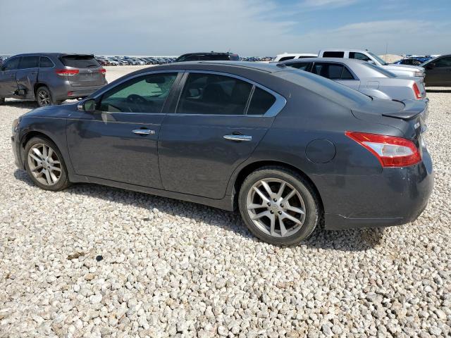 2010 Nissan Maxima S VIN: 1N4AA5AP5AC869967 Lot: 54970274