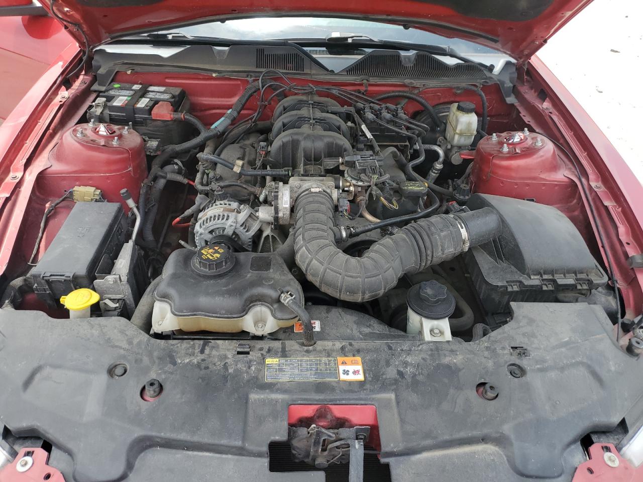 1ZVBP8AN4A5150434 2010 Ford Mustang