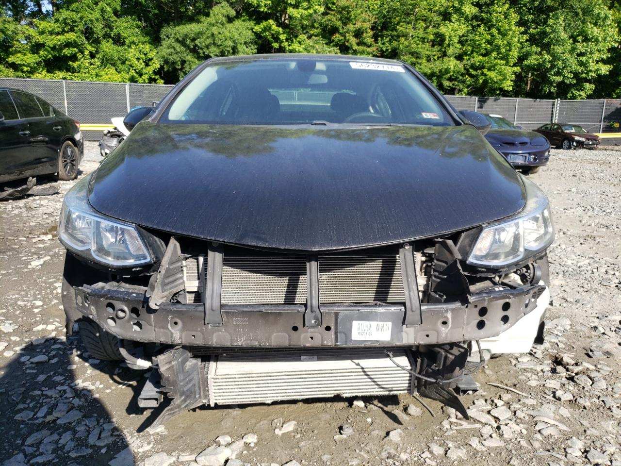 Global Auto Auctions