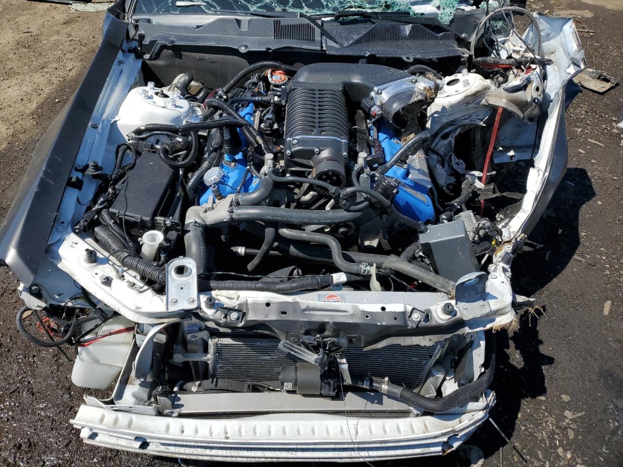 1ZVBP8JS0B5142984 2011 Ford Mustang Shelby Gt500