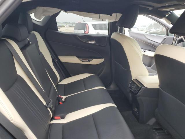 2023 LEXUS NX 250 2T2GDCAZ7PC005032