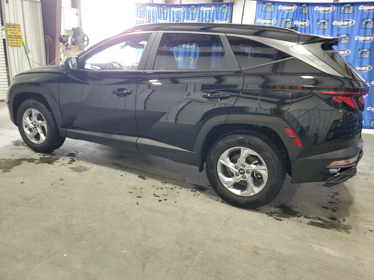 5NMJBCDE1RH337733 2024 Hyundai Tucson Sel