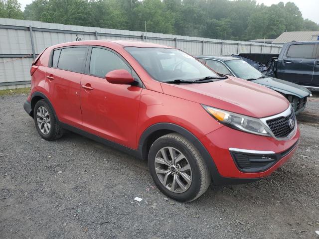 2014 Kia Sportage Base VIN: KNDPB3ACXE7549254 Lot: 55487364