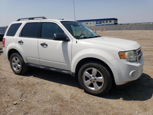 2010 Ford Escape Xlt VIN: 1FMCU9DG9AKA94362 Lot: 54410224