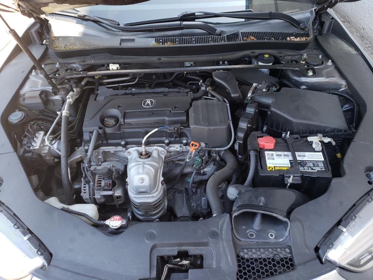 19UUB1F5XLA003511 2020 Acura Tlx Technology