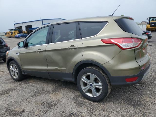 2013 Ford Escape Se VIN: 1FMCU0G99DUD34303 Lot: 55370164