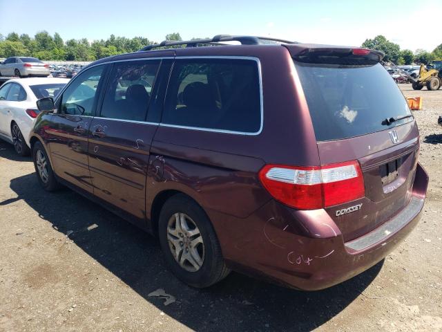 2007 Honda Odyssey Exl VIN: 5FNRL38787B428573 Lot: 56666704