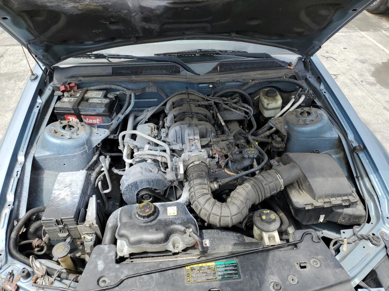 1ZVFT84N655238450 2005 Ford Mustang