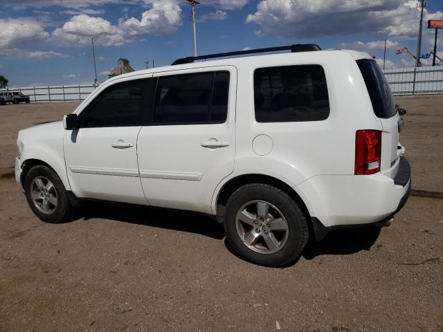 2010 Honda Pilot Exl VIN: 5FNYF3H50AB018522 Lot: 53837624