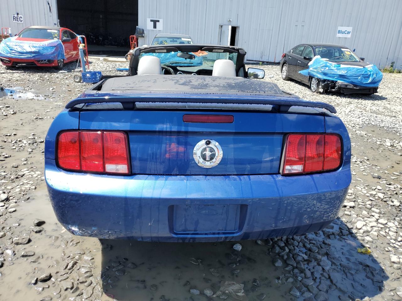 1ZVFT84N065243693 2006 Ford Mustang