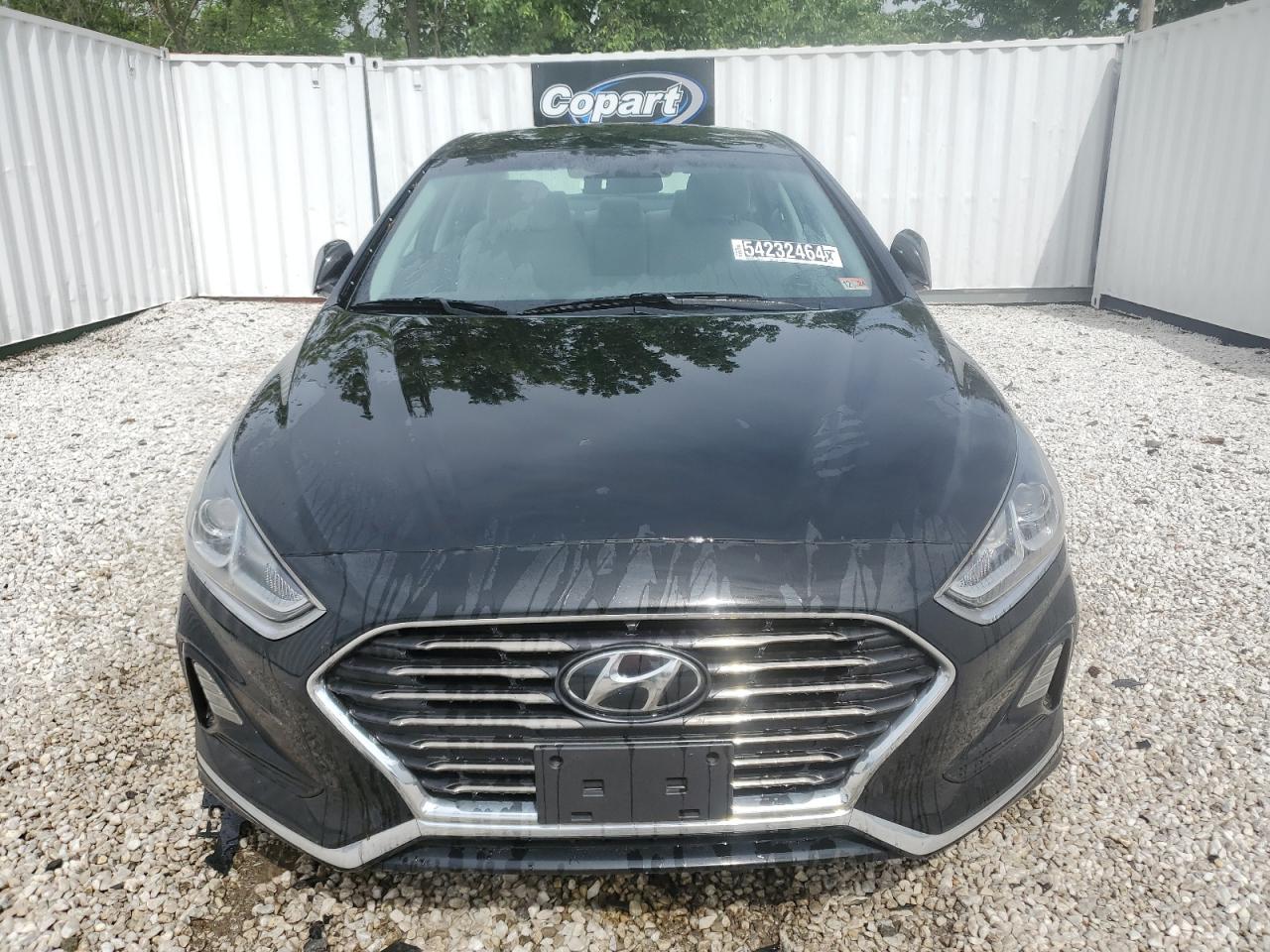 5NPE24AF2KH813839 2019 Hyundai Sonata Se