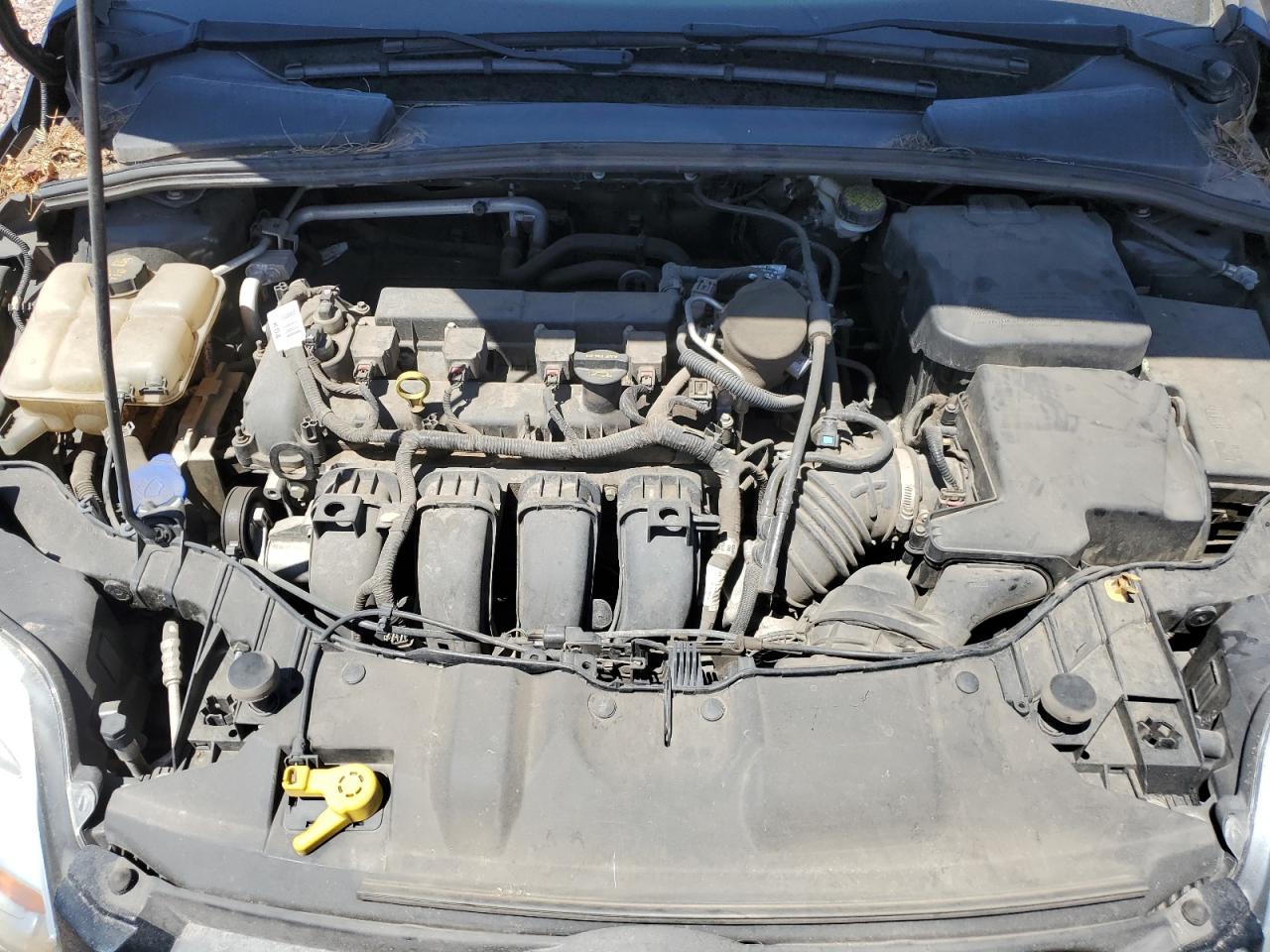 1FADP3F21EL317157 2014 Ford Focus Se