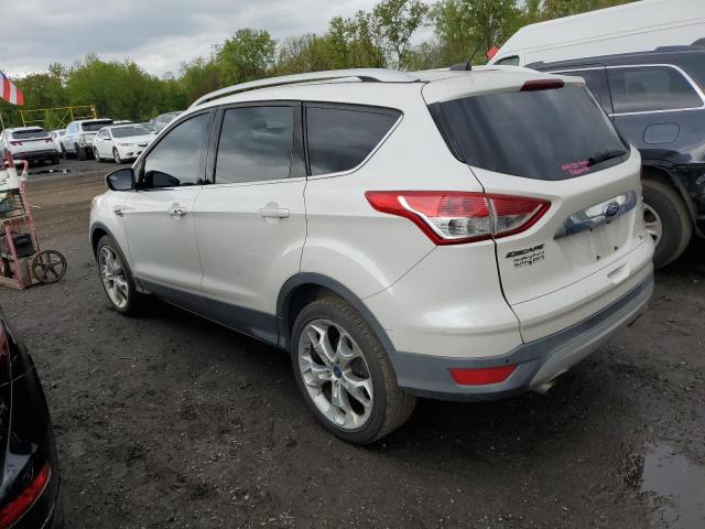 2014 Ford Escape Titanium VIN: 1FMCU9J9XEUB75290 Lot: 53475004