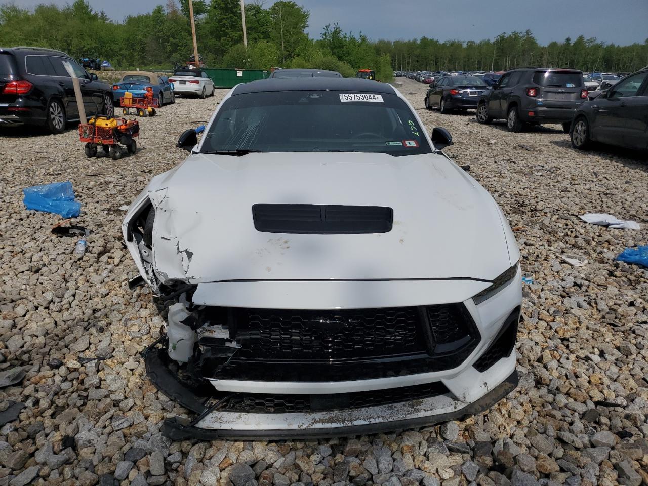 Lot #2902764320 2024 FORD MUSTANG GT