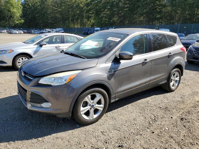 2014 Ford Escape Se VIN: 1FMCU0GX7EUA79053 Lot: 53984604