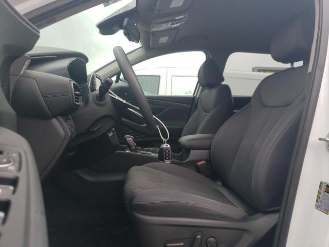 2020 Hyundai Santa Fe Sel VIN: 5NMS3CAD9LH239036 Lot: 53093234