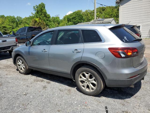 2013 Mazda Cx-9 Touring VIN: JM3TB3CV8D0401275 Lot: 53612424