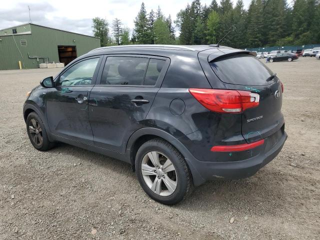 2016 Kia Sportage Lx VIN: KNDPBCAC0G7812452 Lot: 54778214