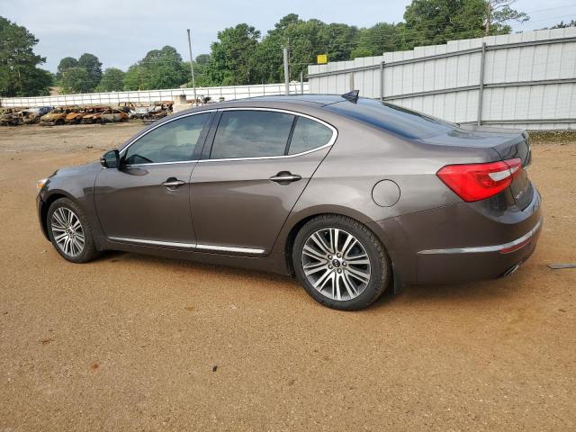 2014 Kia Cadenza Premium VIN: KNALN4D79E5166411 Lot: 56584744