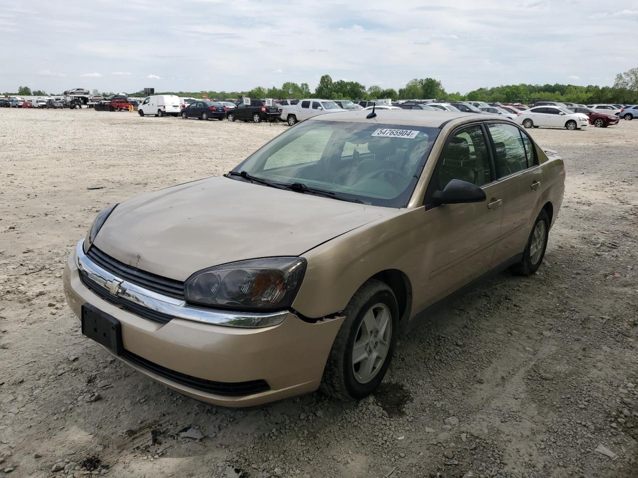 1G1ZT54875F243443 2005 Chevrolet Malibu Ls