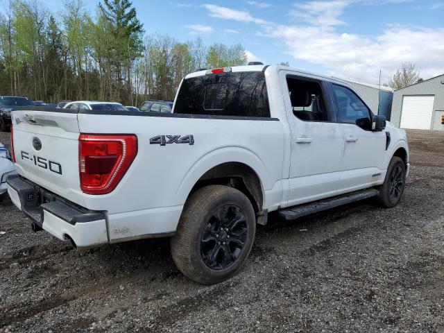 2023 Ford F150 Supercrew VIN: 1FTFW1ED8PFC69302 Lot: 53729404