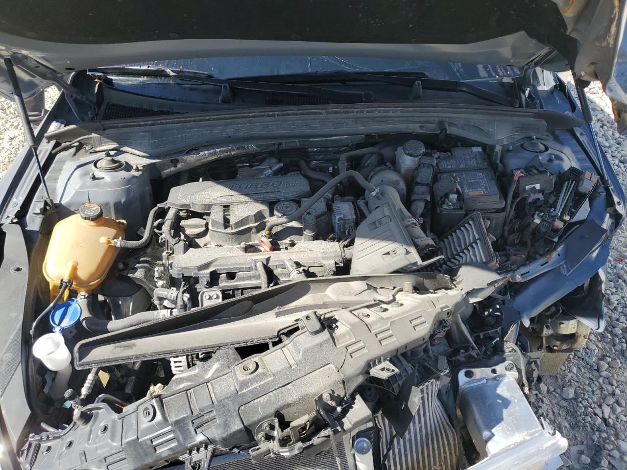 5XXG14J24PG193166 2023 Kia K5 Lxs