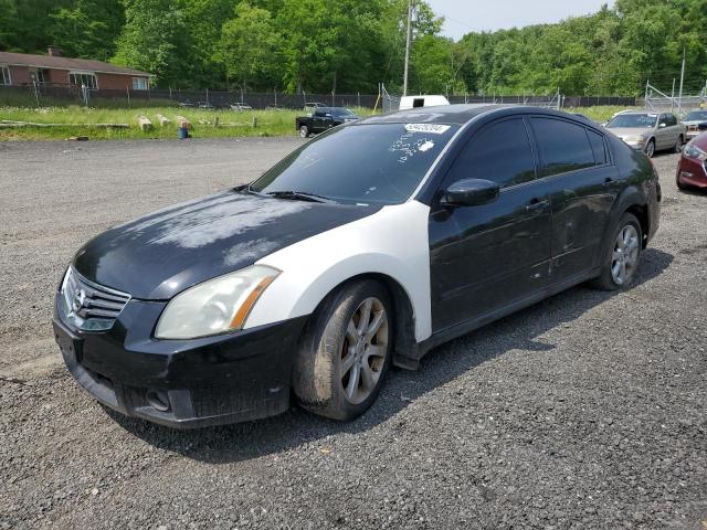 Lot #2509923736 2008 NISSAN MAXIMA SE salvage car