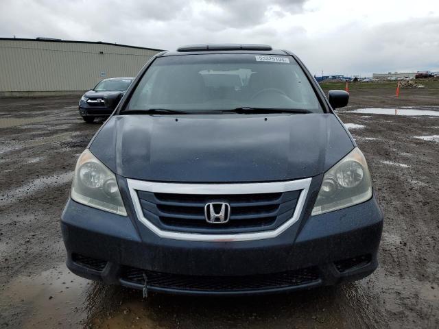 2009 Honda Odyssey Exl VIN: 5FNRL38759B504429 Lot: 55325194