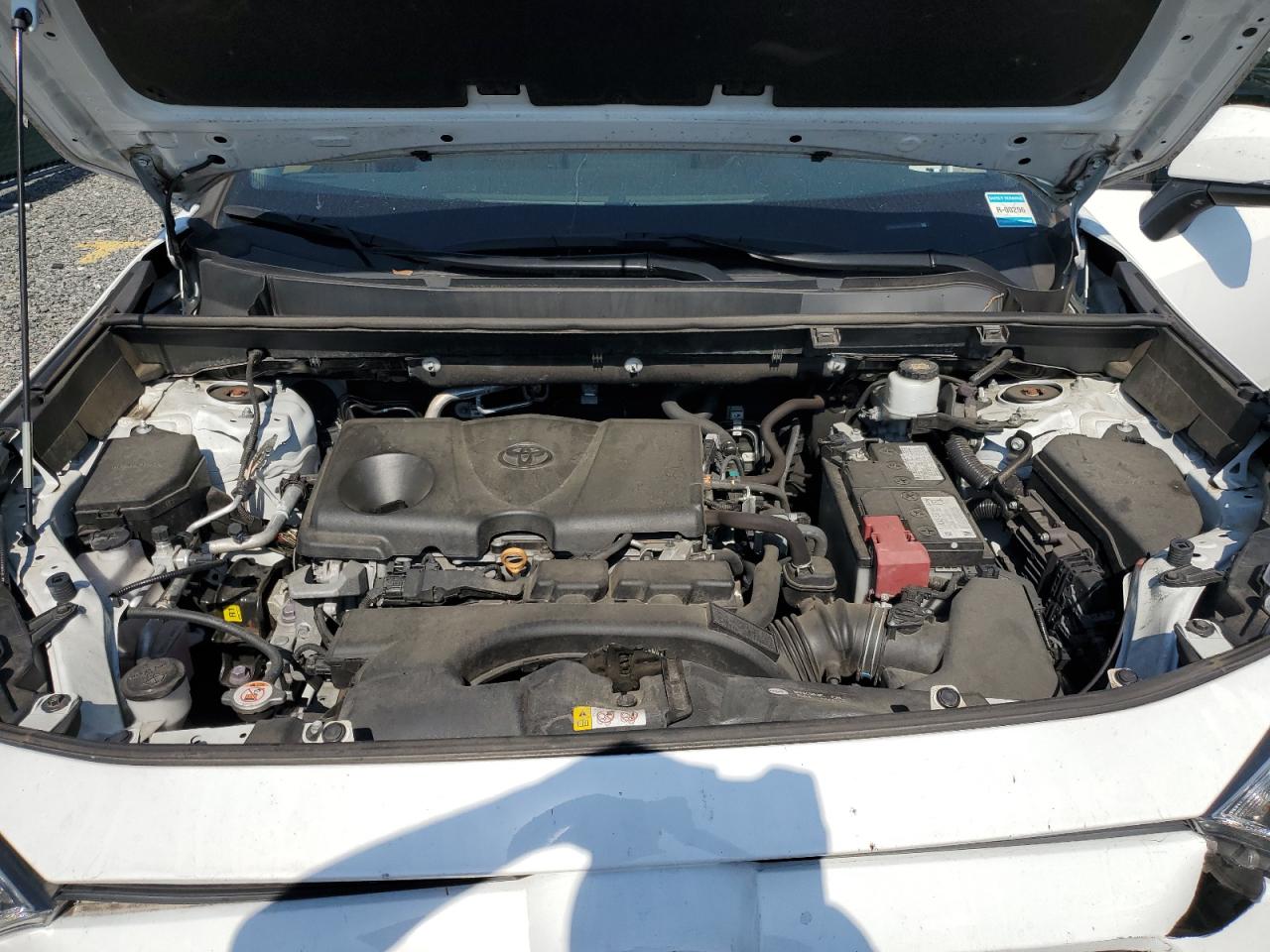 2T3P1RFV1LW117556 2020 Toyota Rav4 Xle