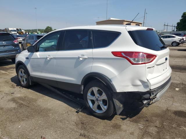 2014 Ford Escape Se VIN: 1FMCU9GX3EUE23224 Lot: 55512434