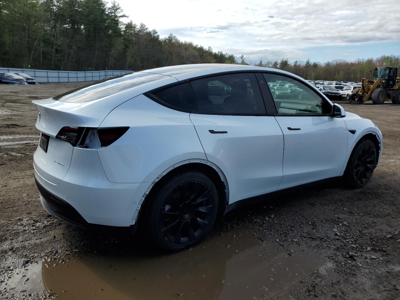 2021 Tesla Model Y vin: 5YJYGDEE0MF119815