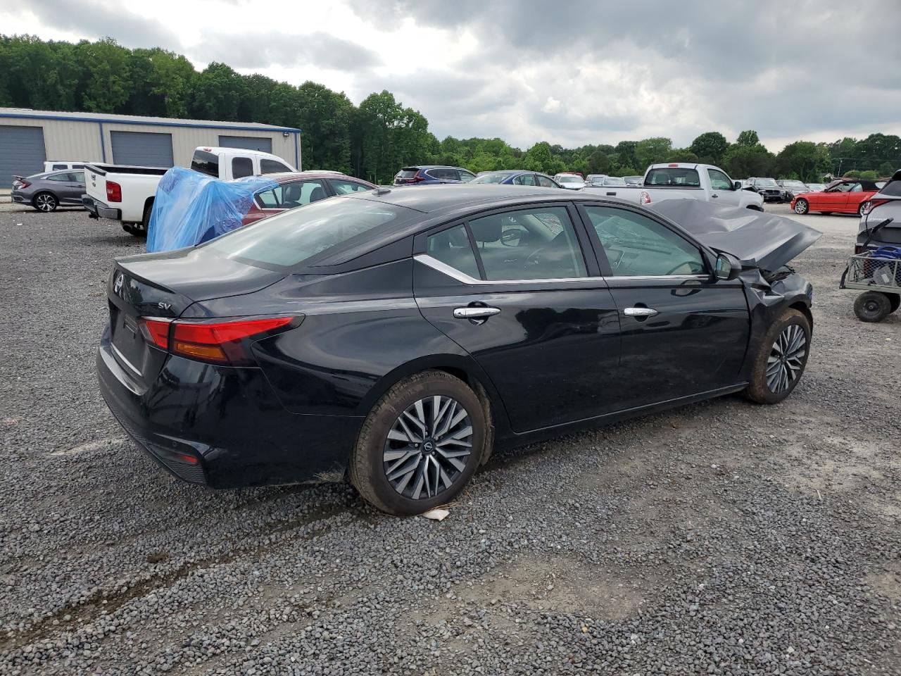 2024 Nissan Altima Sv vin: 1N4BL4DV8RN321769