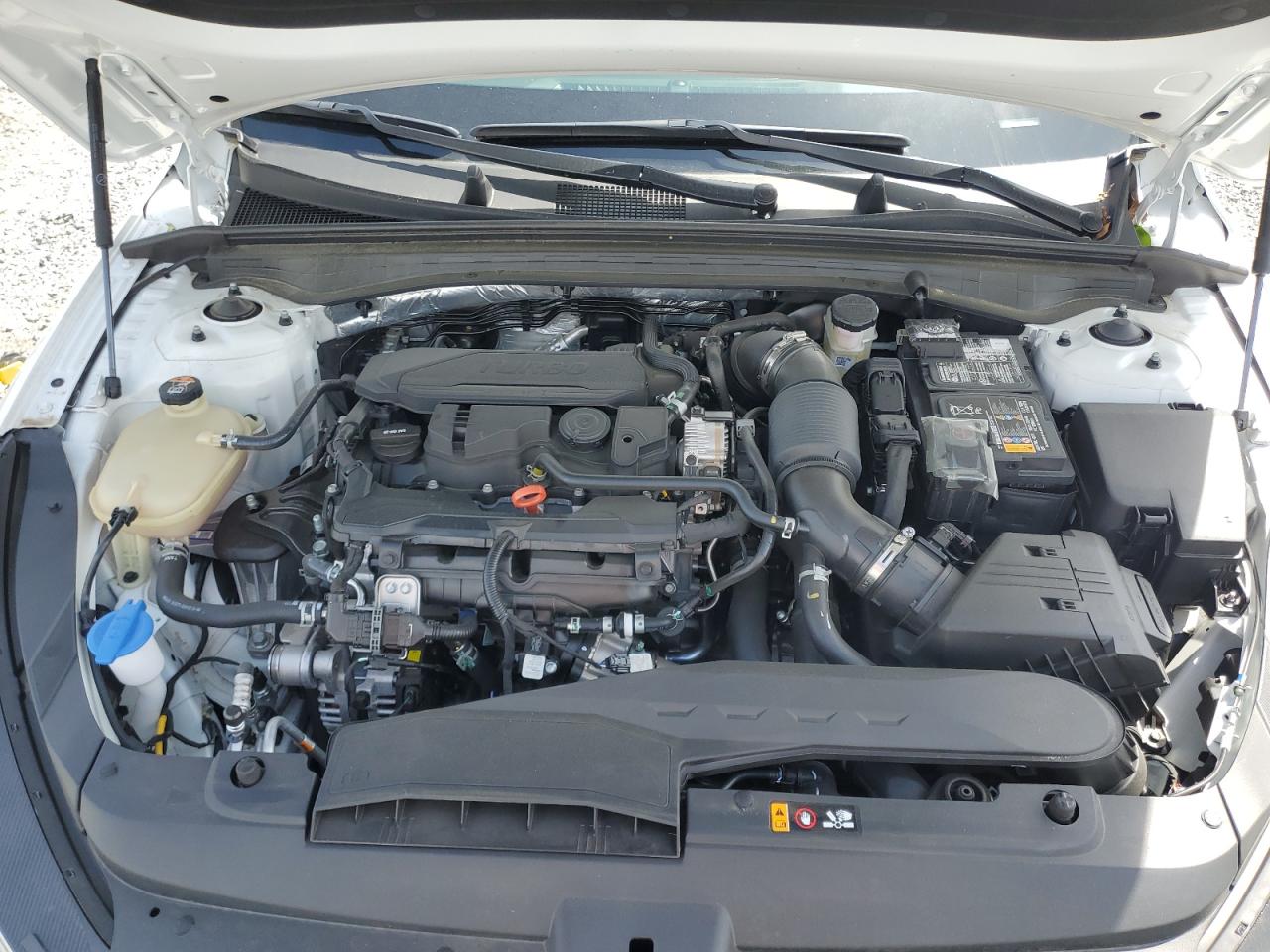 5XXG14J26RG236392 2024 Kia K5 Lxs