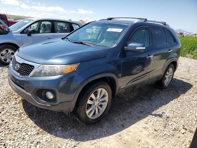 2011 Kia Sorento Base VIN: 5XYKTDA2XBG062557 Lot: 55570754