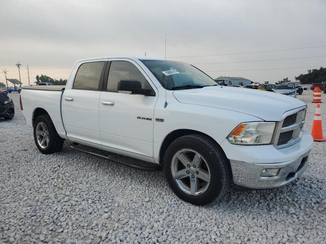 2010 Dodge Ram 1500 VIN: 1D7RB1CT8AS138443 Lot: 56861414