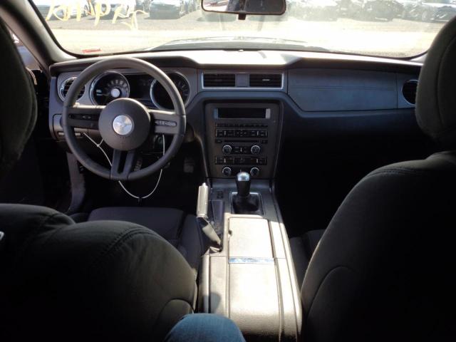 2012 Ford Mustang VIN: 1ZVBP8AM1C5249481 Lot: 53163694