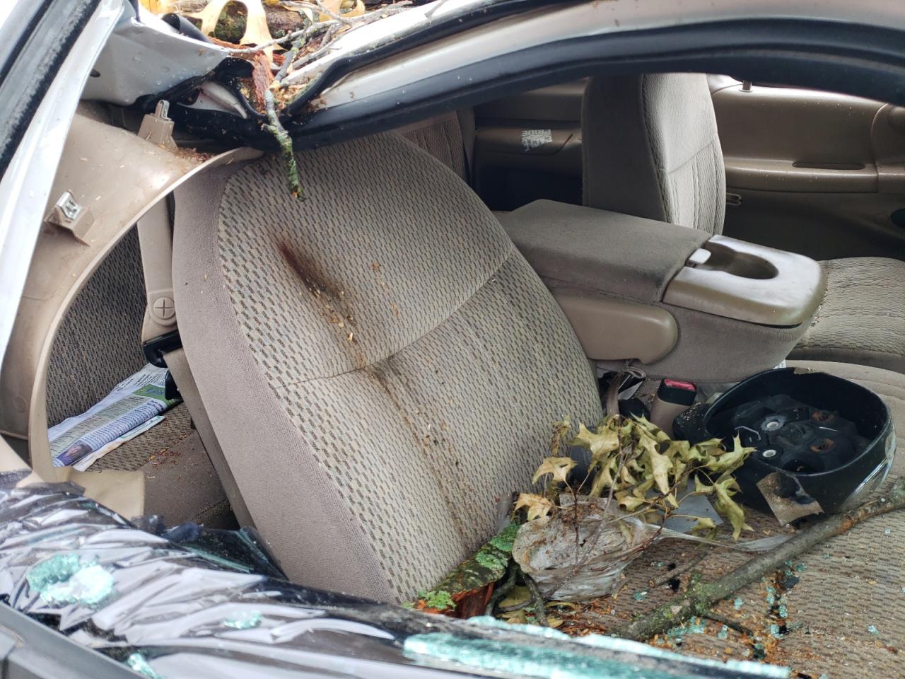 1FTDX17W2VKB86021 1997 Ford F150