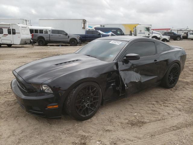 2014 Ford Mustang Gt VIN: 1ZVBP8CF7E5320376 Lot: 55162244